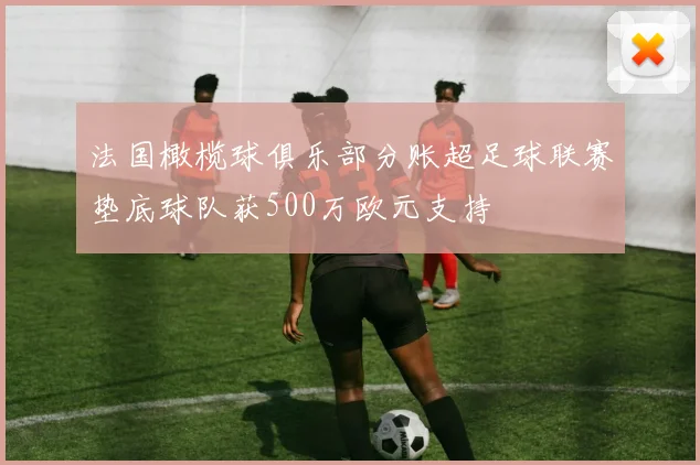 法国橄榄球俱乐部分账超足球联赛垫底球队获500万欧元支持
